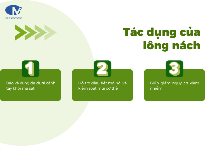 Vùng lông dưới cánh tay mang nhiều lợi ích cho cơ thể