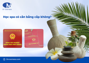 Học ngành spa không cần bằng cấp 