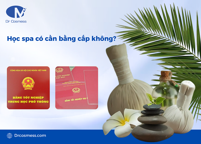 Học ngành spa không cần bằng cấp