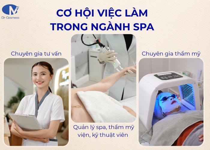 Bạn sẽ được làm những vị trí nào khi chọn ngành spa?